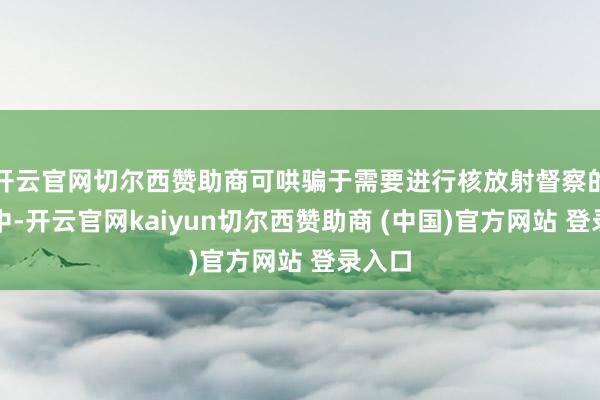 开云官网切尔西赞助商可哄骗于需要进行核放射督察的场景中-开云官网kaiyun切尔西赞助商 (中国)官方网站 登录入口