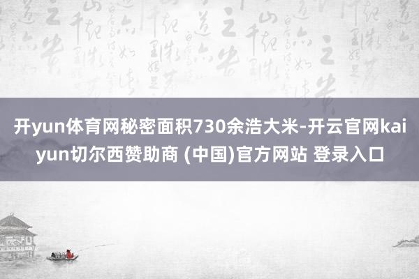 开yun体育网秘密面积730余浩大米-开云官网kaiyun切尔西赞助商 (中国)官方网站 登录入口