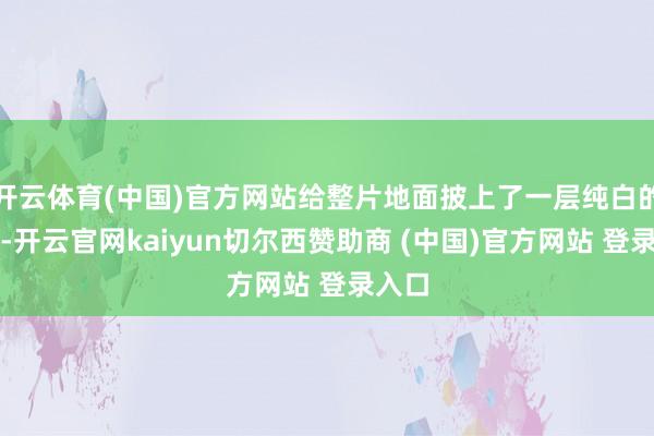 开云体育(中国)官方网站给整片地面披上了一层纯白的银装-开云官网kaiyun切尔西赞助商 (中国)官方网站 登录入口