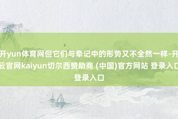 开yun体育网但它们与牵记中的形势又不全然一样-开云官网kaiyun切尔西赞助商 (中国)官方网站 登录入口