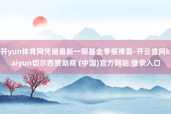 开yun体育网凭据最新一期基金季报裸露-开云官网kaiyun切尔西赞助商 (中国)官方网站 登录入口