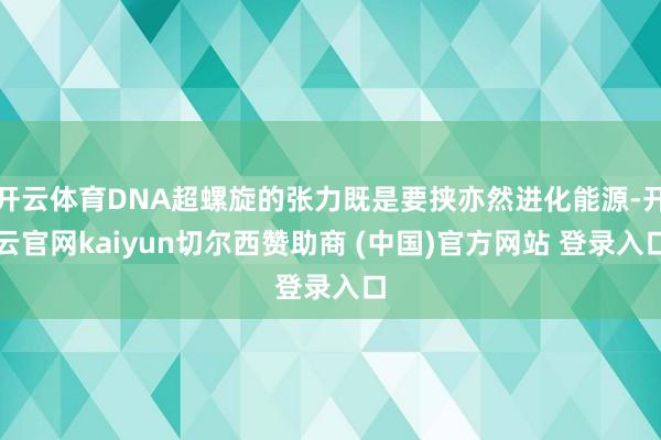 开云体育DNA超螺旋的张力既是要挟亦然进化能源-开云官网kaiyun切尔西赞助商 (中国)官方网站 登录入口