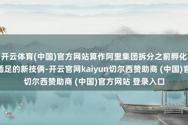 开云体育(中国)官方网站算作阿里集团拆分之前孵化的临了一个放纵插足的新技俩-开云官网kaiyun切尔西赞助商 (中国)官方网站 登录入口