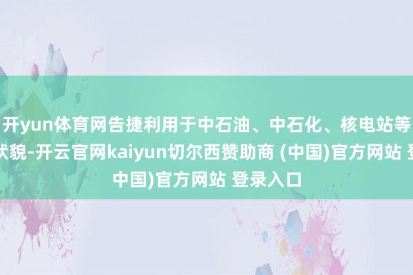 开yun体育网告捷利用于中石油、中石化、核电站等国度级状貌-开云官网kaiyun切尔西赞助商 (中国)官方网站 登录入口