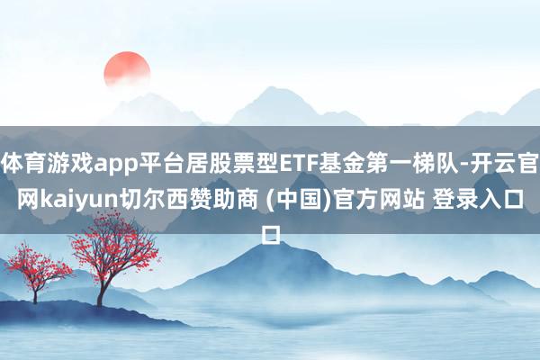 体育游戏app平台居股票型ETF基金第一梯队-开云官网kaiyun切尔西赞助商 (中国)官方网站 登录入口