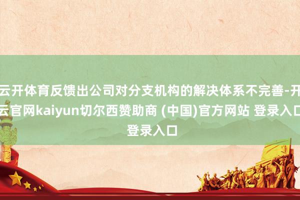 云开体育反馈出公司对分支机构的解决体系不完善-开云官网kaiyun切尔西赞助商 (中国)官方网站 登录入口