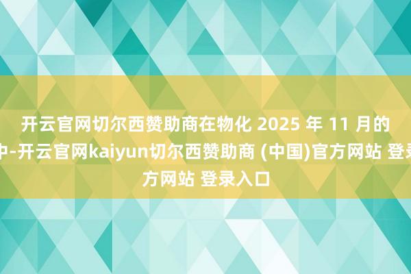 开云官网切尔西赞助商在物化 2025 年 11 月的财年中-开云官网kaiyun切尔西赞助商 (中国)官方网站 登录入口