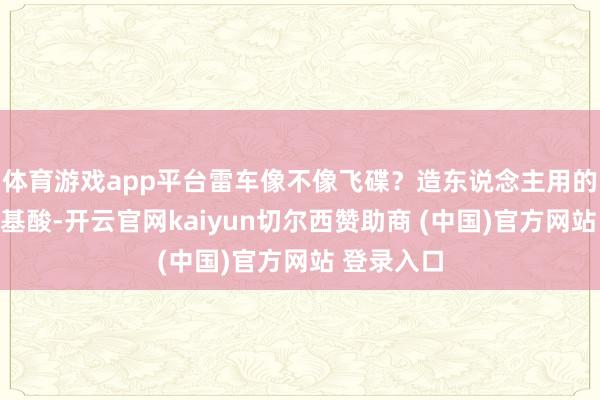 体育游戏app平台雷车像不像飞碟？造东说念主用的黄土含氨基酸-开云官网kaiyun切尔西赞助商 (中国)官方网站 登录入口