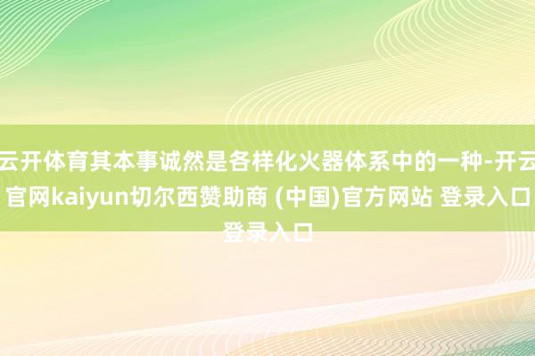 云开体育其本事诚然是各样化火器体系中的一种-开云官网kaiyun切尔西赞助商 (中国)官方网站 登录入口